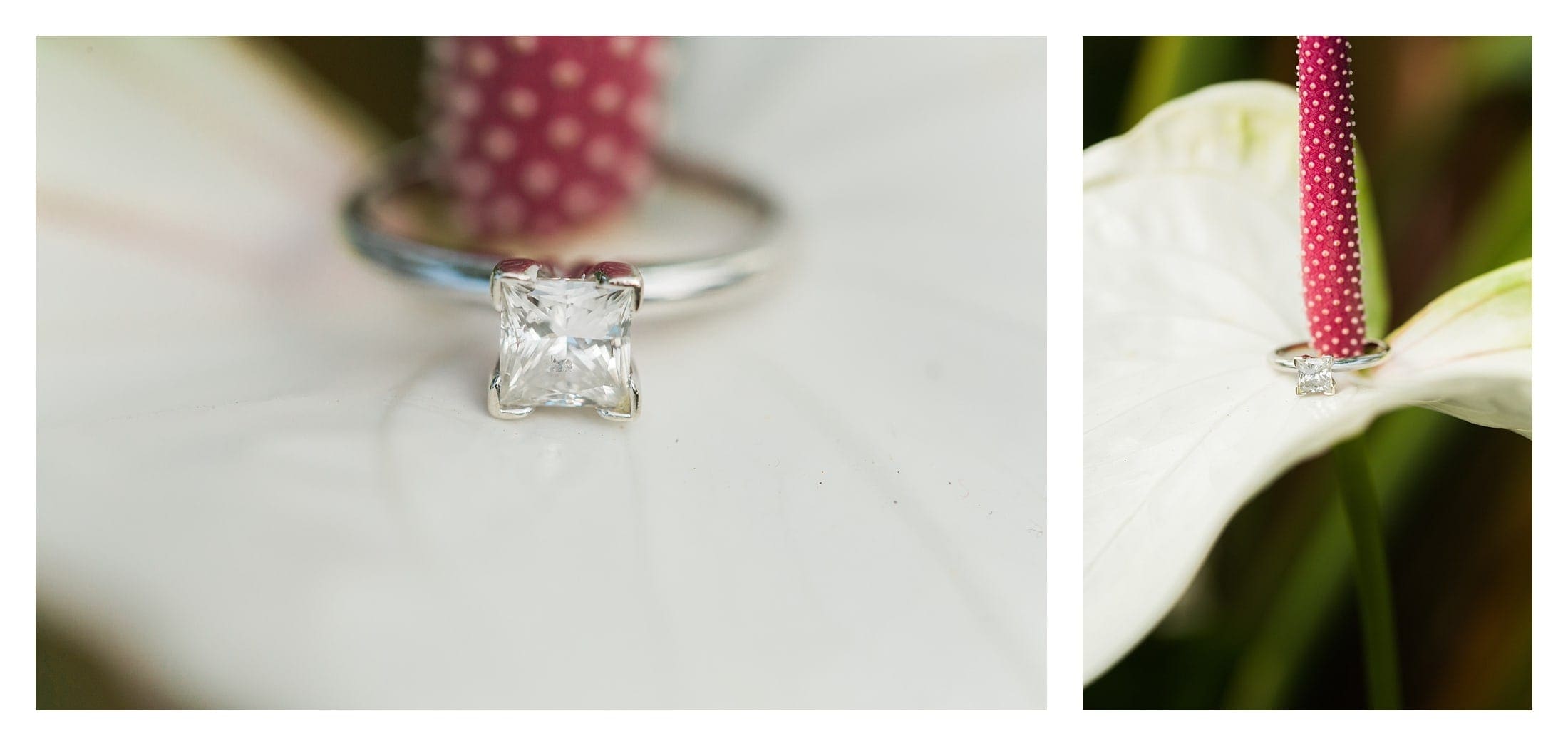 Asheville engagement ring on a flower