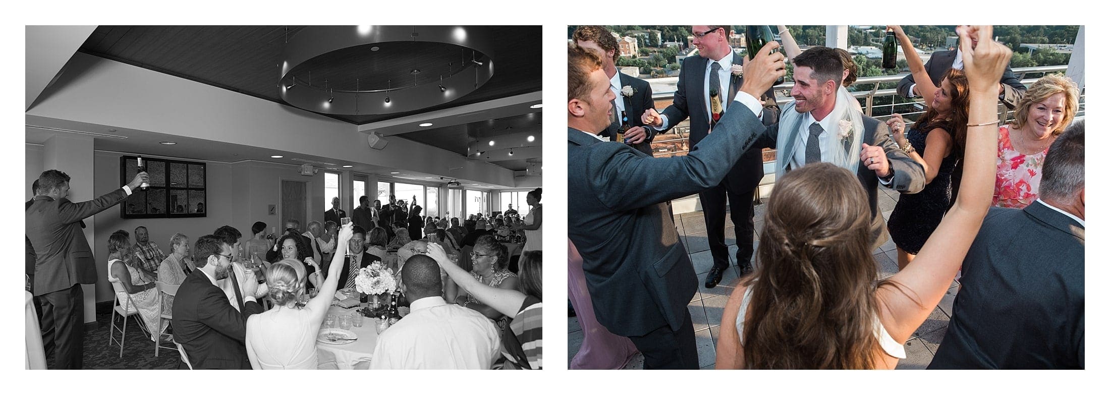 Wedding guests toast at wedding reception.