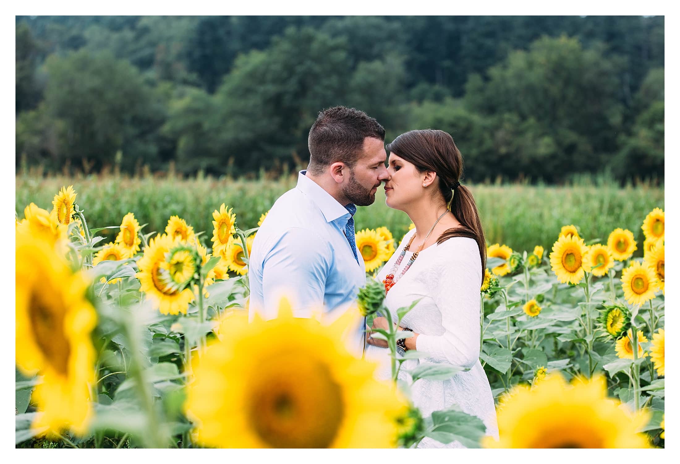 Couple kissing in sunflowers