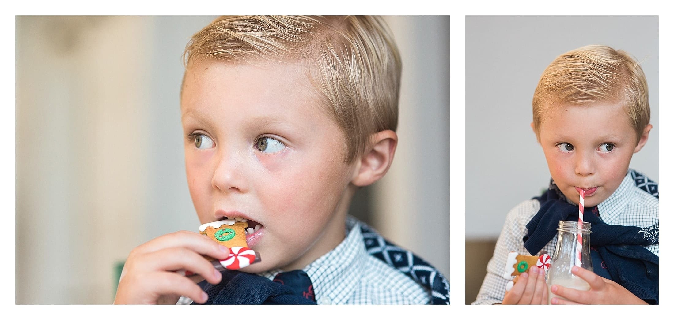 Gingerbread cookies and milk in bottle with red and white straw