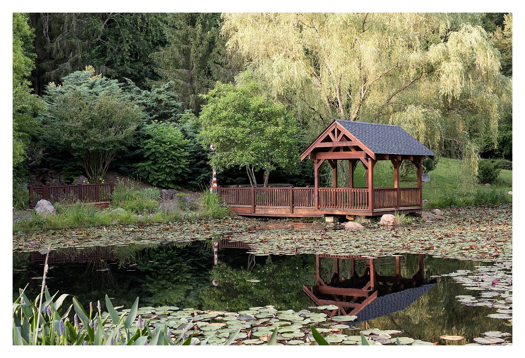Asheville Venue Lily Pond