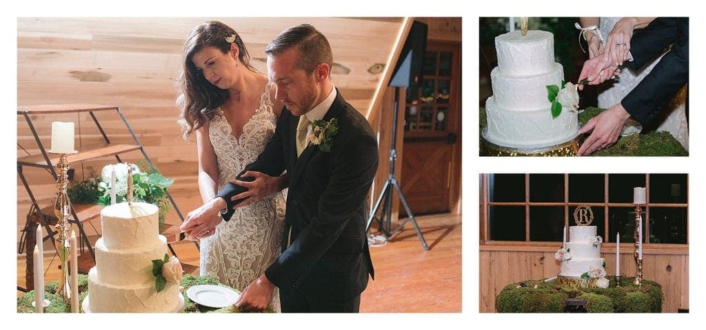 Bride and groom cutting white wedding cake together - kathy beaver photography