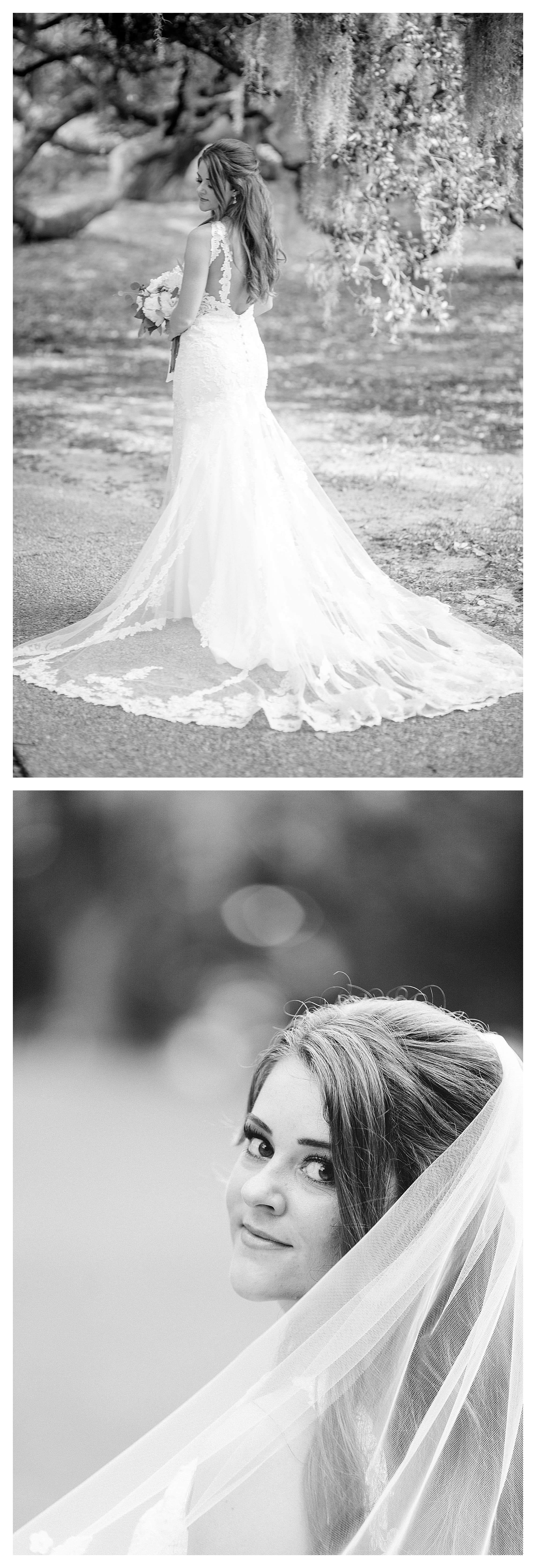 Black and White photos of bride in wedding dress and veil standing under tree