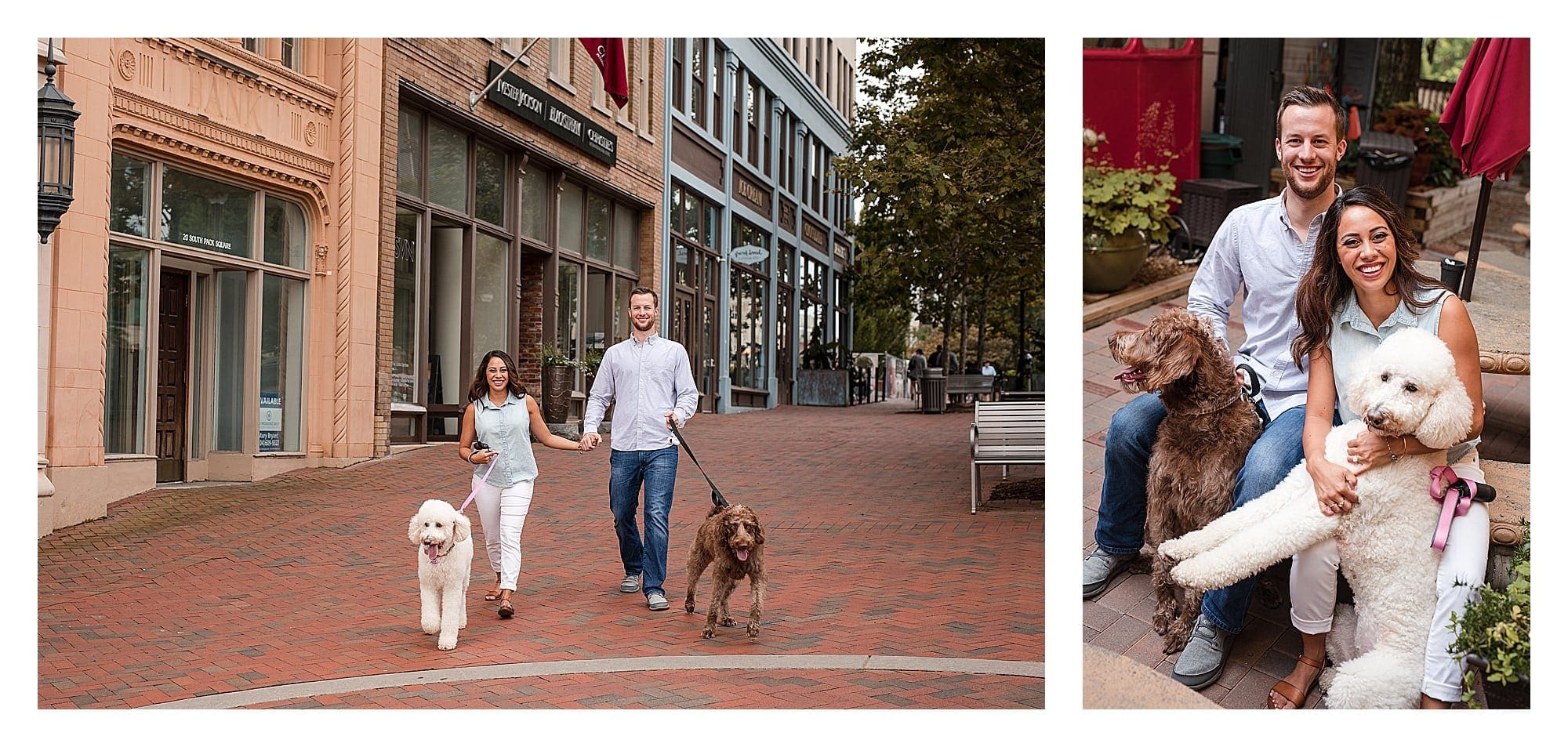 Young engaged couple walking a brown and a white poodle down red brick sidewalk holding hands in downtown asheville