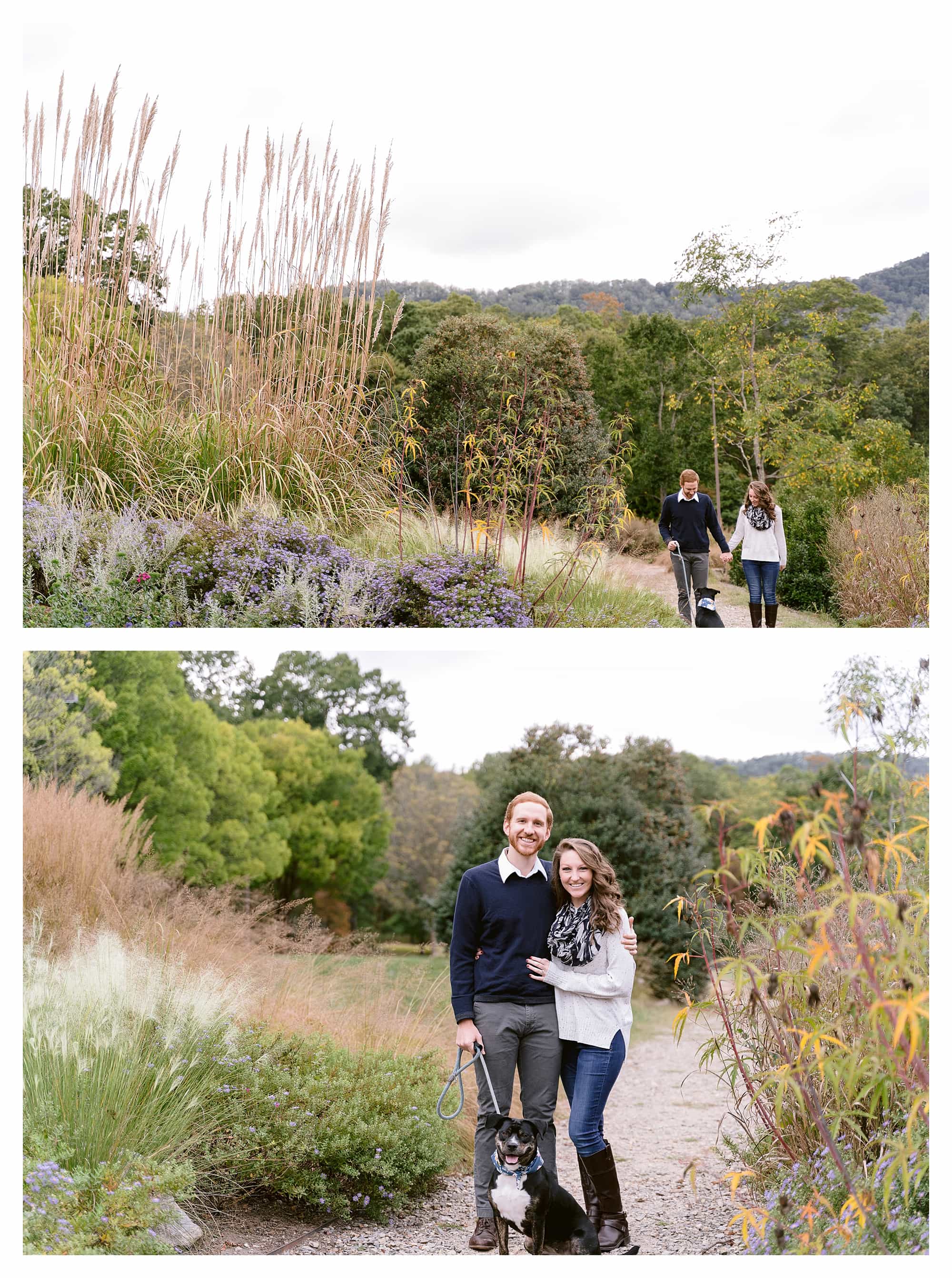 couple with rescue dog for engagement photos