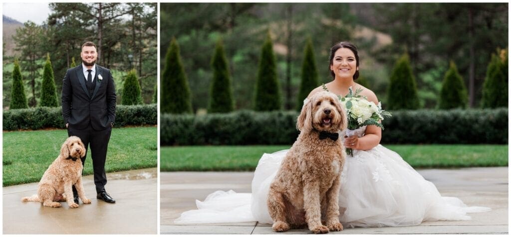 bride and groom portraits with dog