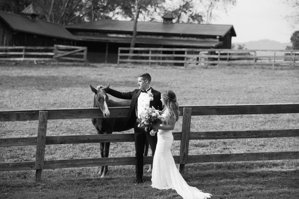 Bride and groom portraits at the Farm with horses | Kathy Beaver Photography | Asheville Wedding Photographer