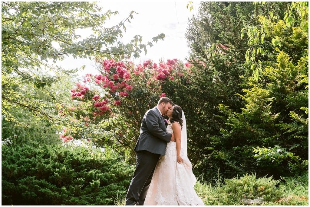 Bride and groom portraits with a pink floral tree at Honeysuckle Hill | Asheville Wedding Photographer