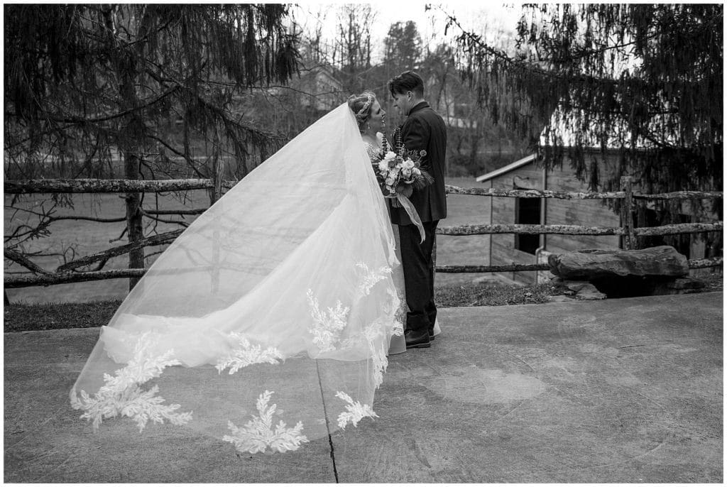 Black and white image of a bride with a long cathedral style veil at Honeysuckle Hill  | Asheville Wedding Photographer