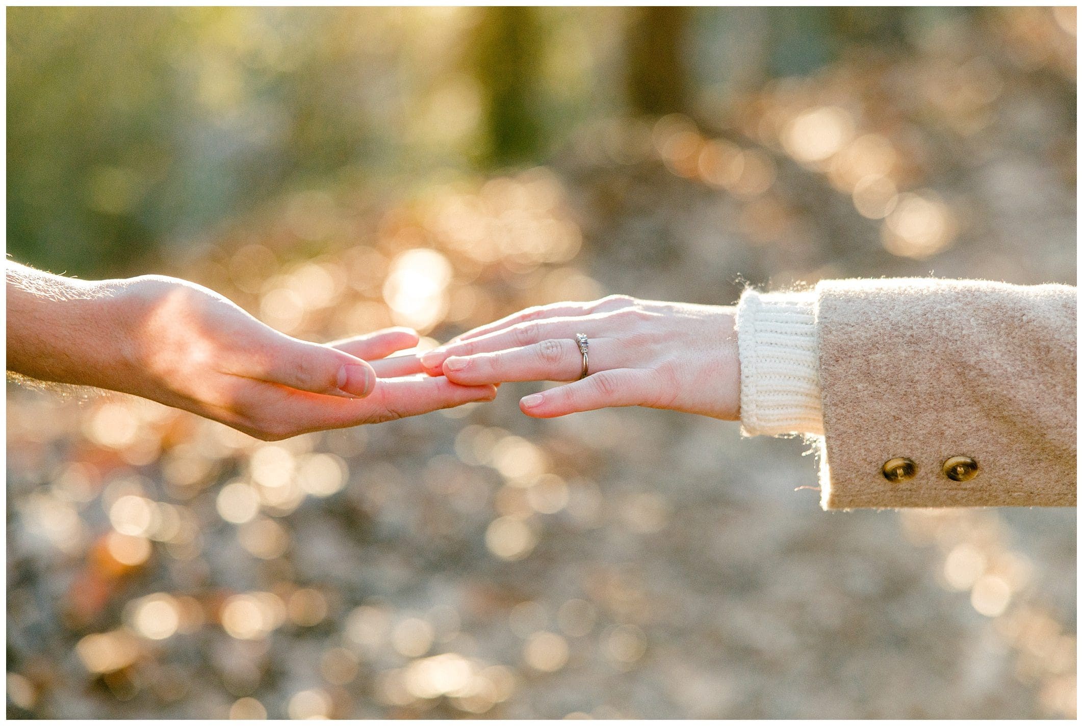 couple touches hands for their engagement session