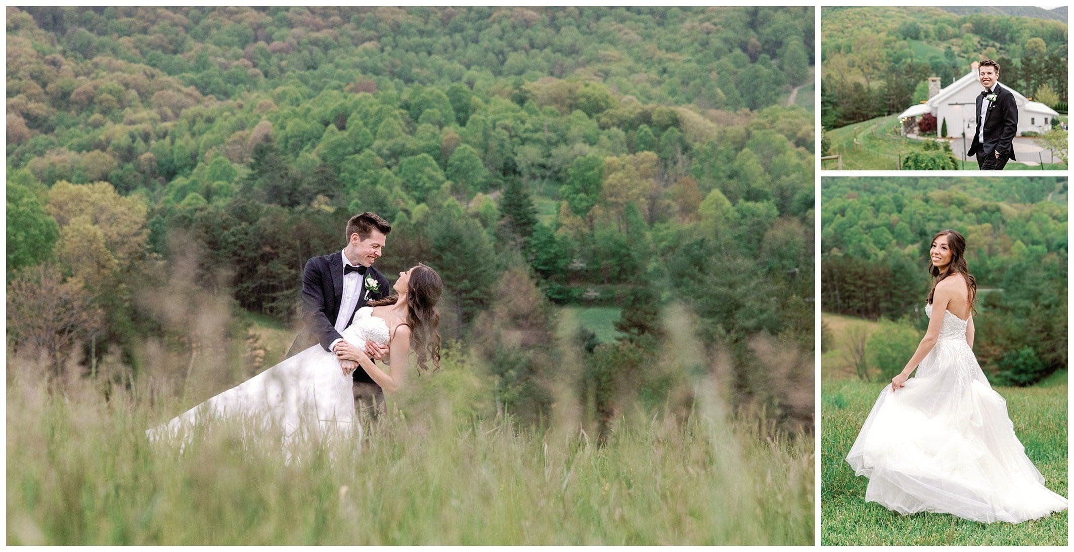 bride and groom overlooking mountains at spring wedding in Asheville NC 