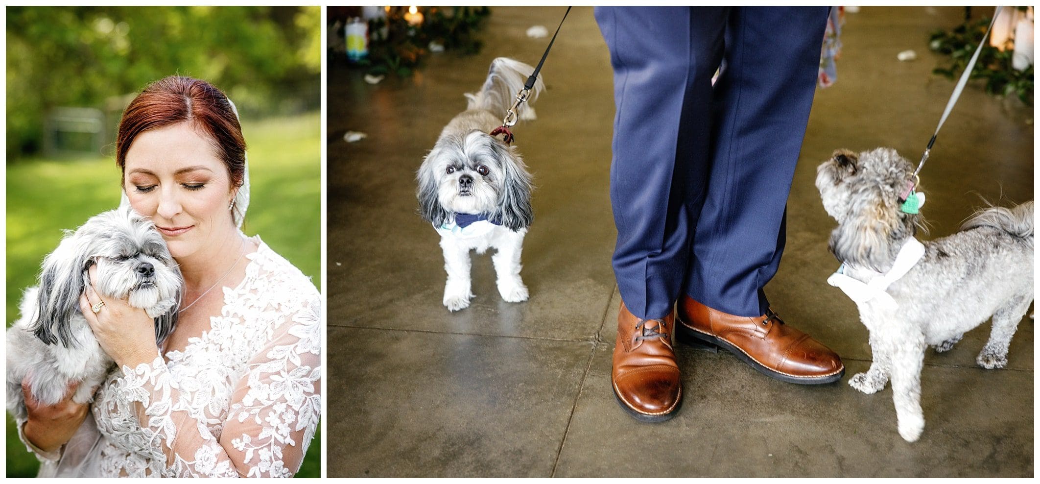 dogs at spring destination wedding