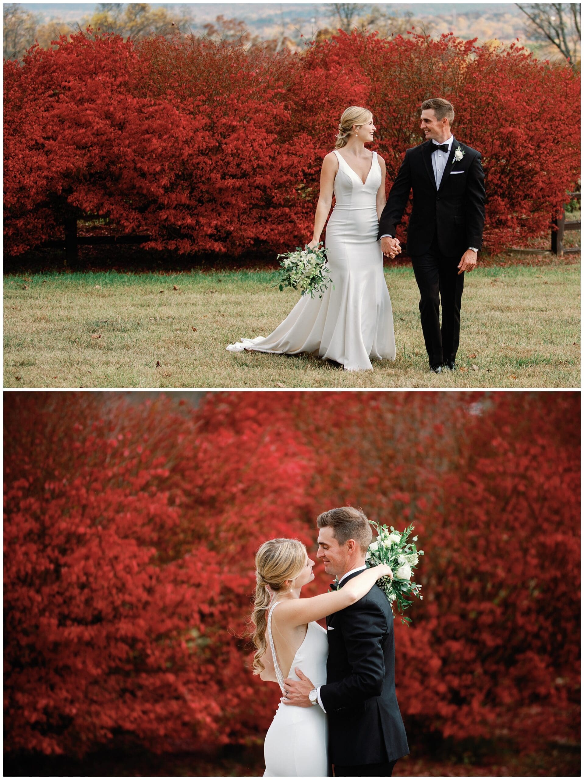 A bride and groom standing in front of red bushes at a fall wedding.