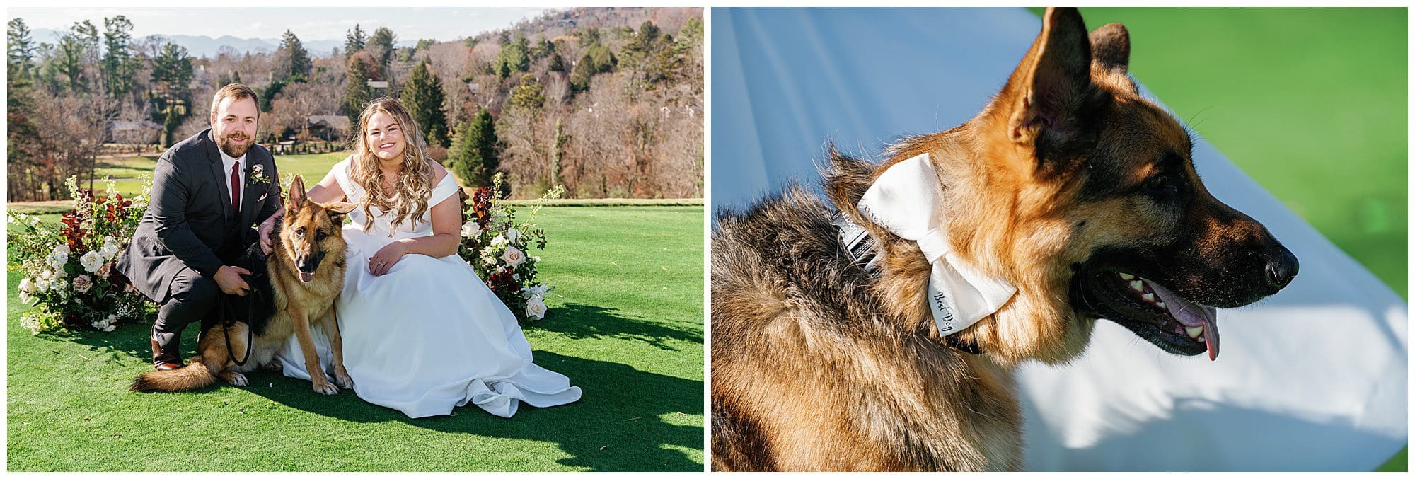 Two pictures of a bride and groom with a german shepherd.