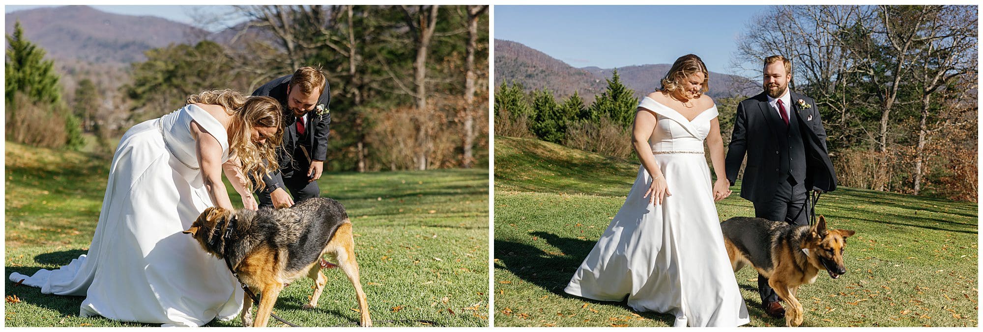 Two pictures of a bride and groom with a dog.
