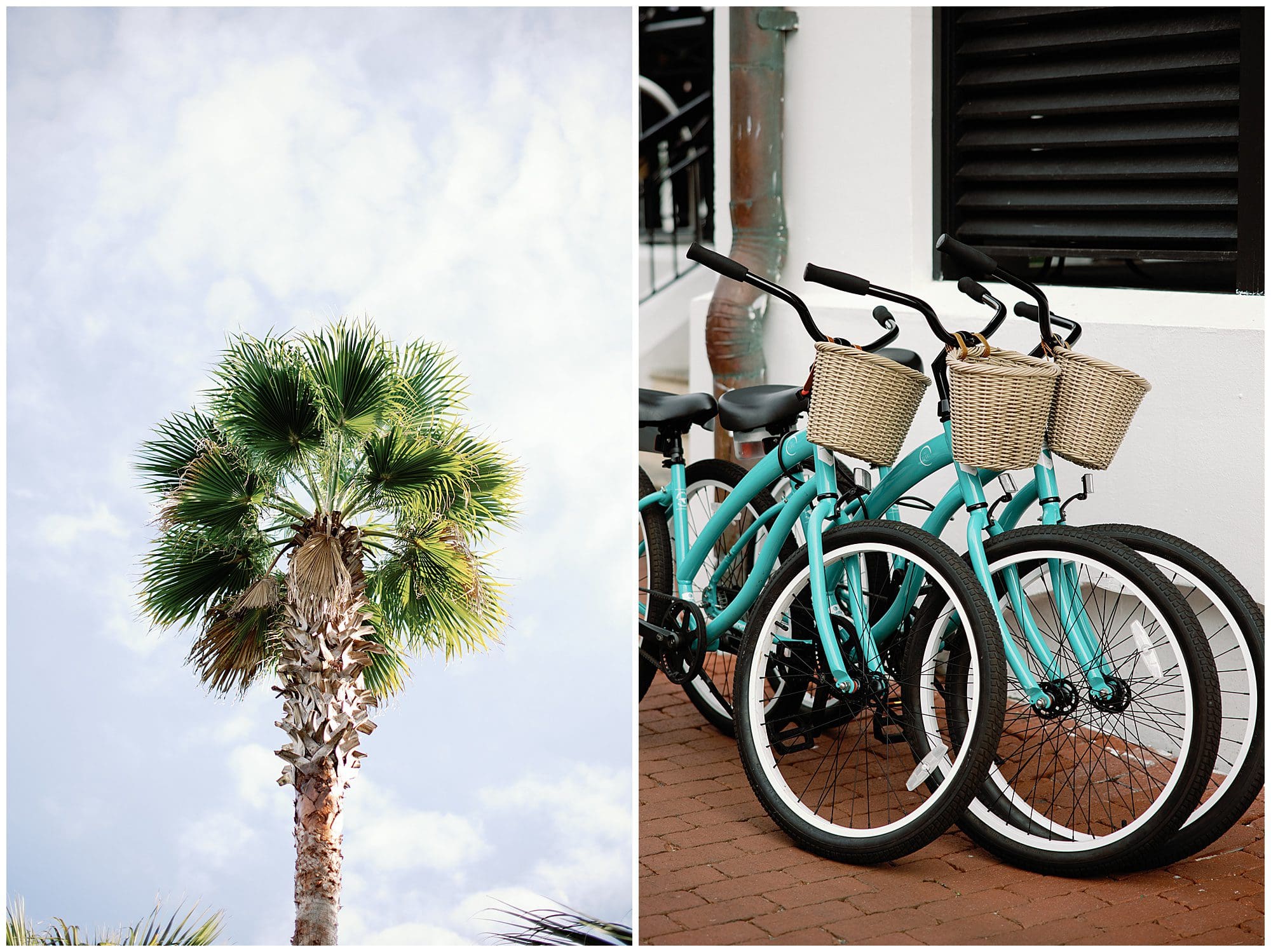 Two pictures of bicycles parked in front of a palm tree at photography retreat rosemary beach 