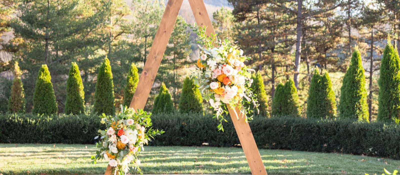 microwedding in Asheville at Chestnut Ridge